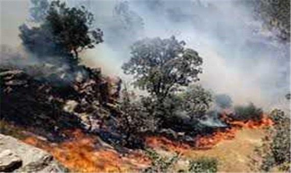سه آتش سوزی در یک روز در منطقه حفاظت شده ارژن و پریشان