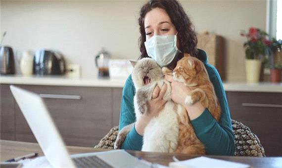 حیوانات خانگی ناقل ویروس کرونا هستند؟