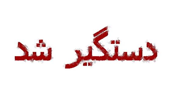 دستگیری لیدر مجازی سازماندهی اراذل و اوباش در همدان