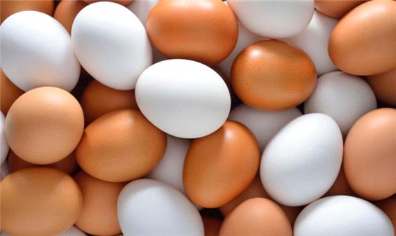 ماجرای افزایش قیمت تخم‌مرغ‌ در بازار