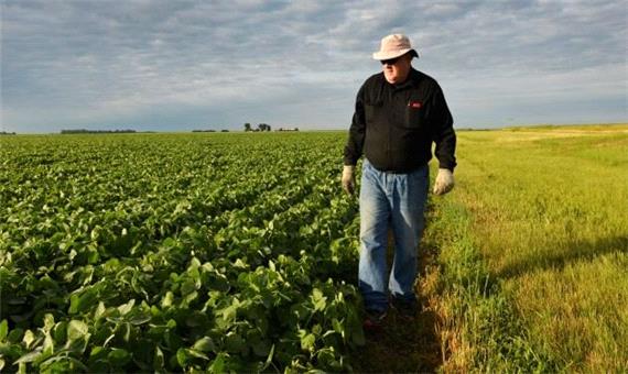 کمک 14 میلیارد دلاری جدید ترامپ به کشاورزان آمریکایی