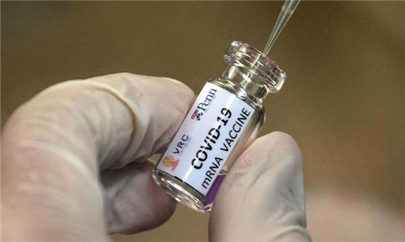 آیا سازمان جهانی بهداشت مجوز واکسن فایزر را صادر کرده است؟