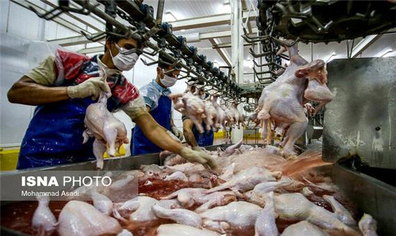 وزارتخانه‌های مرتبط مشکل گرانی مرغ را رفع کنند