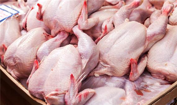 توزیع مرغ گرم در بازار با قیمت 18 هزار و 500 تومان