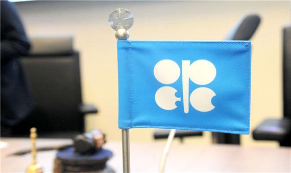 قیمت سبد نفتی اوپک بالاتر از 46 دلار ایستاد