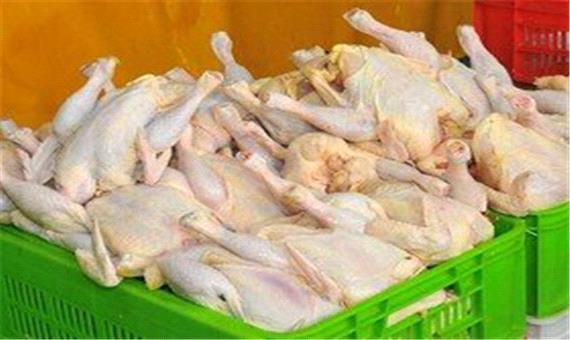 آخرین وضعیت واردات مرغ، موجودی و ترخیص خوراک طیور