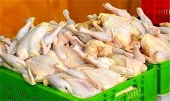 پیش بینی قیمت مرغ در دی ماه