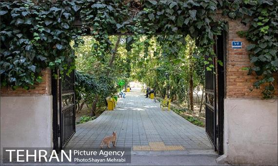 احداث 74 بوستان در تهران در طول 3 سال