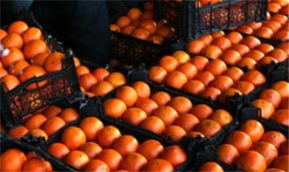 قیمت پرتقال در باغ ٢٠٠٠ تومان؛ فروش در بازار20 هزار تومان!