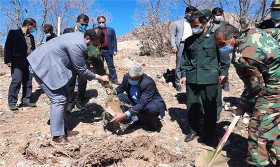 کاشت 200 اصله نهال بلوط در اراضی رفع تصرف شده معصوم آباد یاسوج