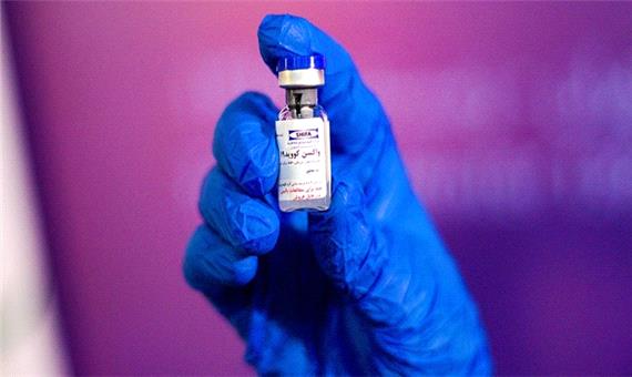 بدون تعارف با عضو کلیدی تولید واکسن ایرانی کرونا