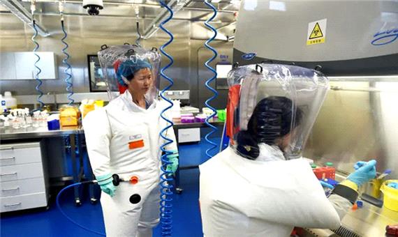 «تئوری نشت» ویروس کرونا از آزمایشگاه مرموز چینی