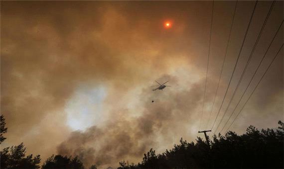 افزایش تلفات آتش سوزی مهیب جنگل ها در ترکیه+تصاویر