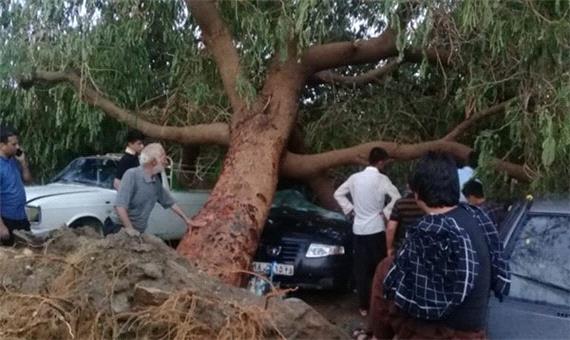 خسارت طوفان و باران در جیرفت