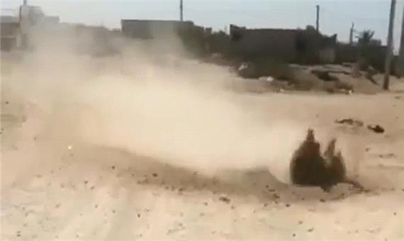 ماجرای جوشیدن عجیب خاک در بوشهر!
