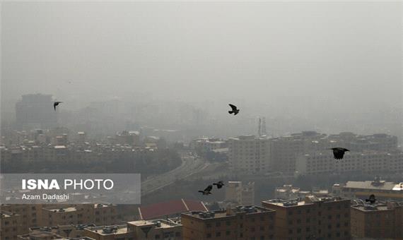 مقابله با آلودگی هوای تهران نیازمند تعامل تمام دستگاه‌ها/ رصد روزانه سوخت مصرفی واحدهای صنعتی