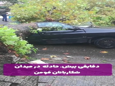 سقوط خسارت‌بار درخت‌های چنار
