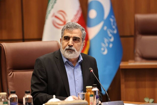 سخنگوی‌ سازمان انرژی اتمی: به‌رغم سنگ‌اندازی آمریکا، برای تصویب قطعنامه پیشنهادی ایران تلاش می‌کنیم
