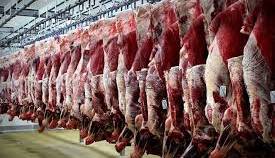 آغاز طرح جدید عرضه مستقیم گوشت قرمز