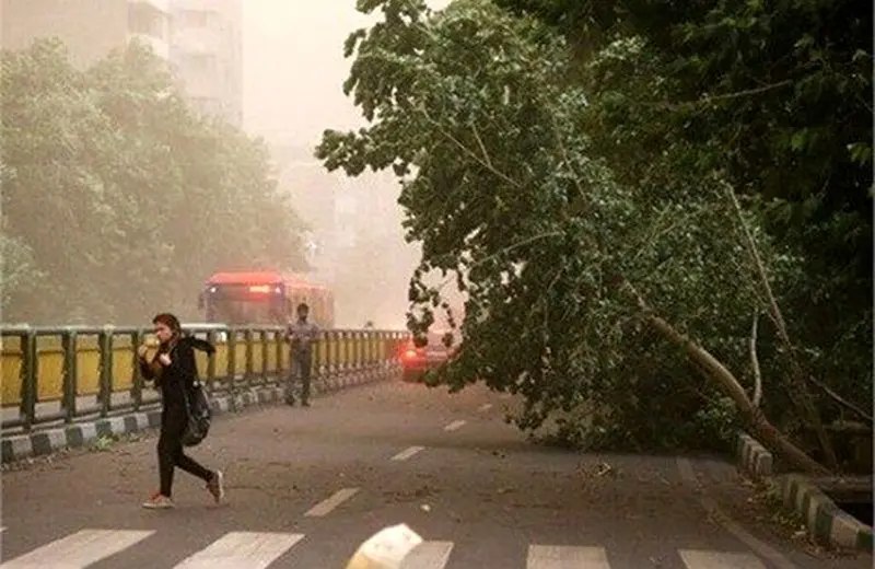 کاهش دمای تهران از شنبه؛ تهرانی ها مراقب باد شدید باشند