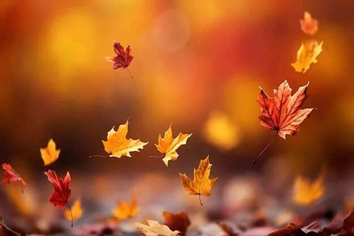 پاییز کم‌بارشی در راه است