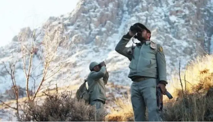 تصویب حمل سلاح محیط‌بانان در کمیسیون قضائی مجلس