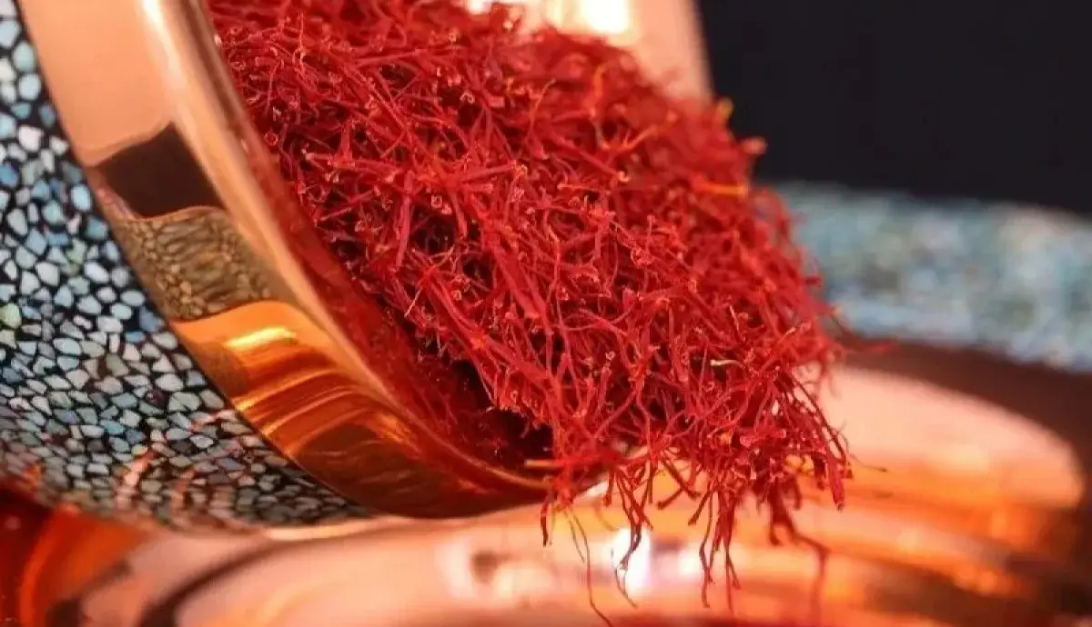 قیمت زعفران افزایش یافت
