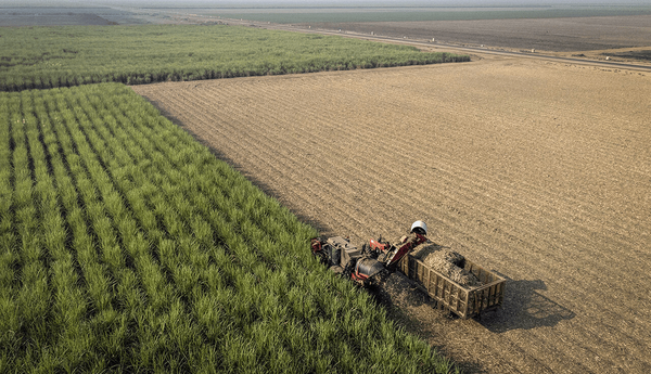 تحقیق‌وتفحص مجلس از طرح ۵۵۰ هزار هکتاری کلید خورد