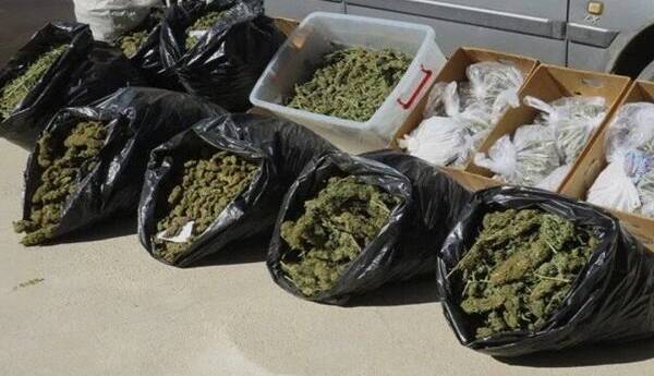 بزرگ‌ترین محموله ماریجوانا سال کشف شد