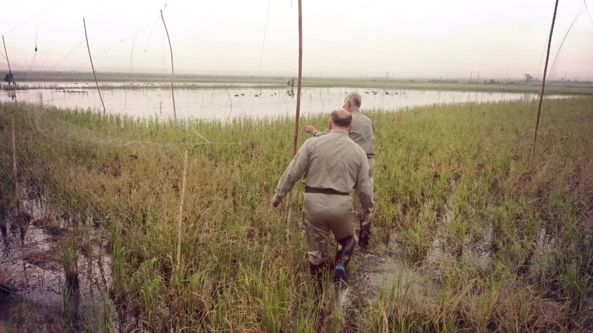 «دام‌ هوایی» شیوه جدید شکارچیان غیرمجاز در آستانه‌اشرفیه
