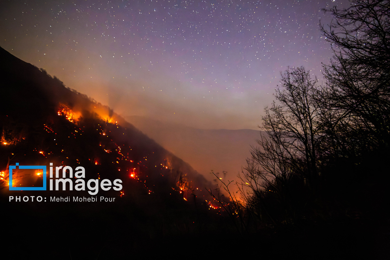 آتش‌سوزی در جنگل‌های مازندران مهار شد