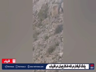 گرفتار شده یک قلاده پلنگ در تله شکارچیان