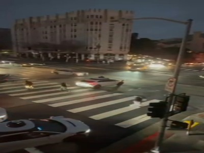 اختلال همزمان تاکسی‌های خودران در سانفرانسیسکو