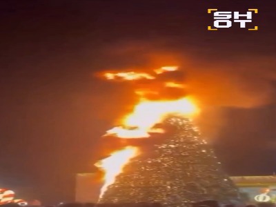 درخت اصلی سال نو در گرجستان سوخت