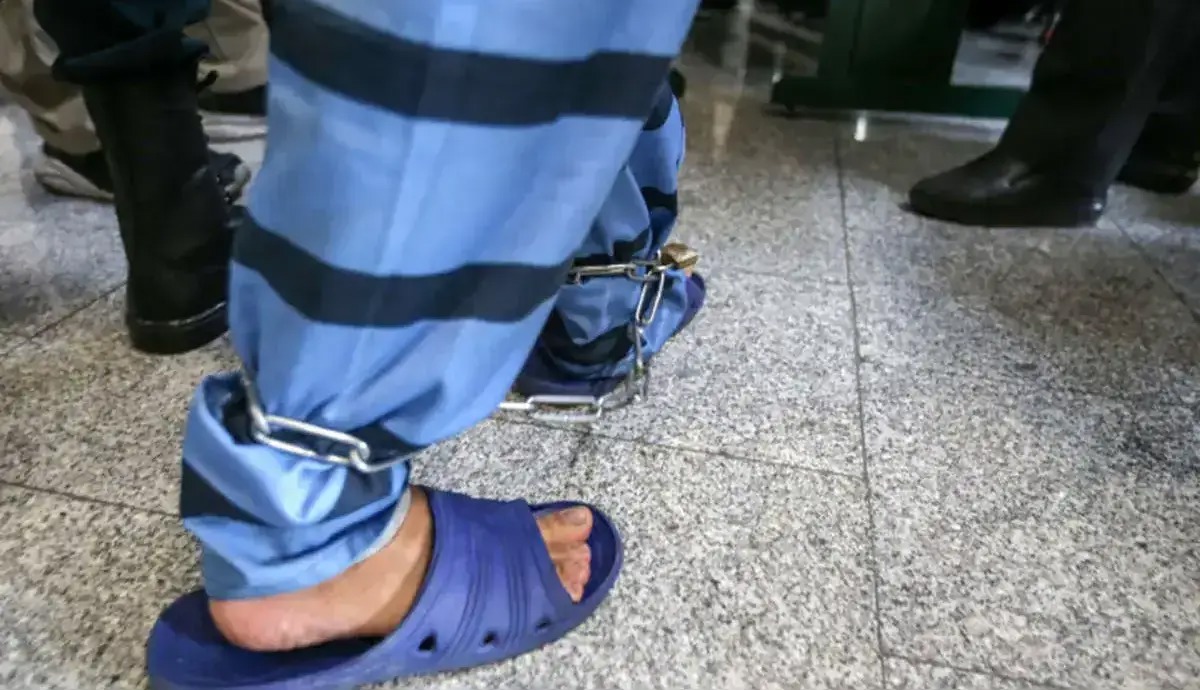 قتل مسلحانه سارقان درخت توسط باغدار عصبانی