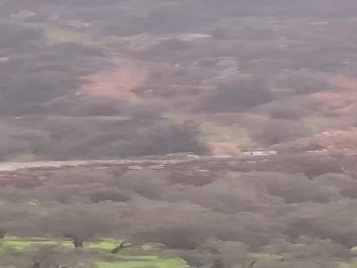 حمله شهرک‌نشینان صهیونیست به خودروهای فلسطینیان