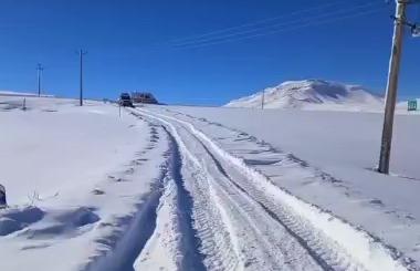 تولد نوزاد عجول در برف و بوران جاده تکاب