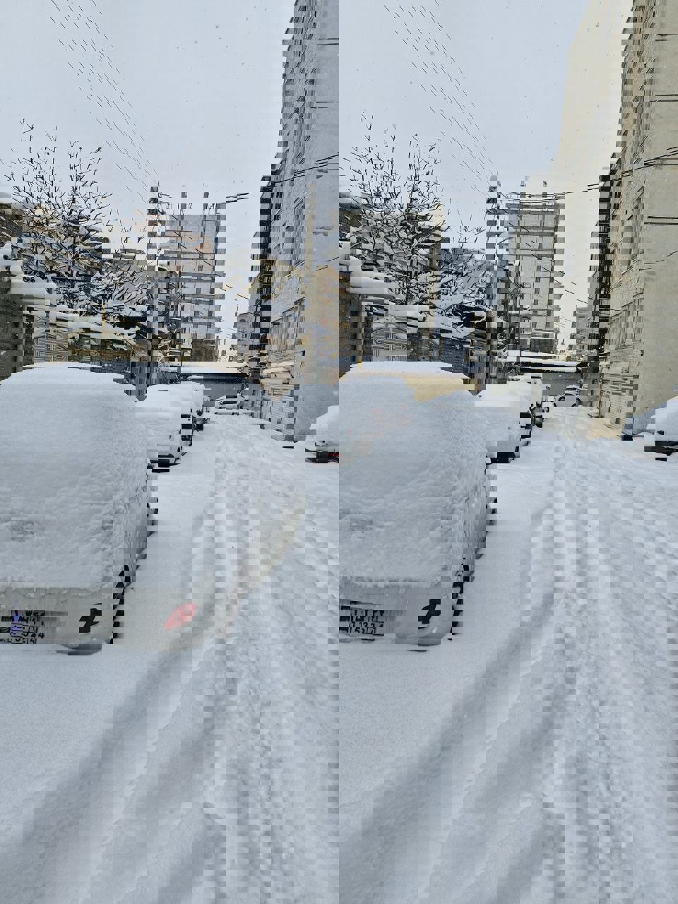 شدت برف بامداد امروز در بیجارِ کردستان