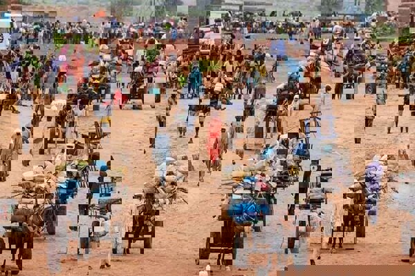 سازمان ملل: اوضاع شهر جنگ‌زده فاشر فاجعه‌بار است