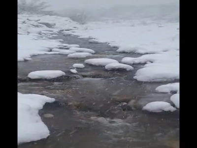 بارش برف در منطقه کوهستانی سرتنگه سوادکوه