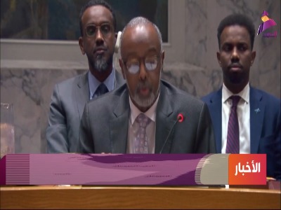 سفیر سومالی: اقدامات اسرائیل تهدیدی برای صلح جهانی است