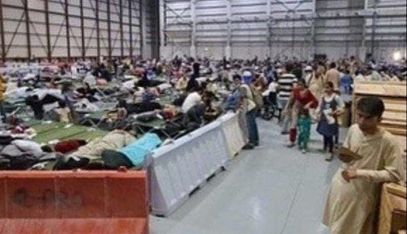 پیشنهاد جدید آمریکا به پناهجویان افغان؛ بازگشت در ازای پول