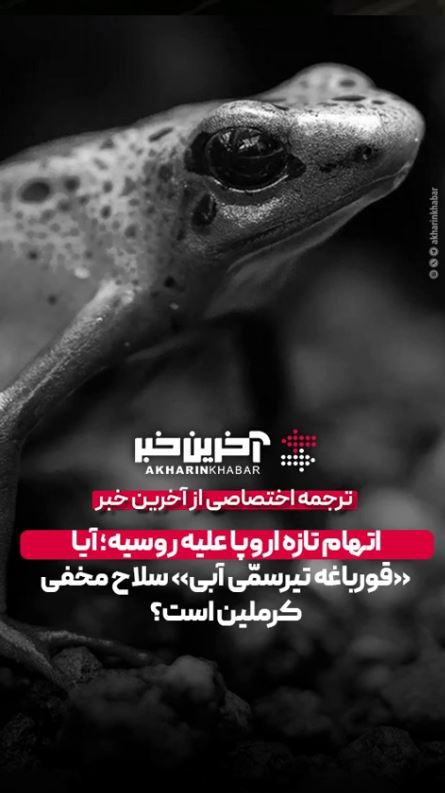 اتهام تازه علیه روسیه؛ آیا این قورباغه سلاح مخفی کرملین است؟