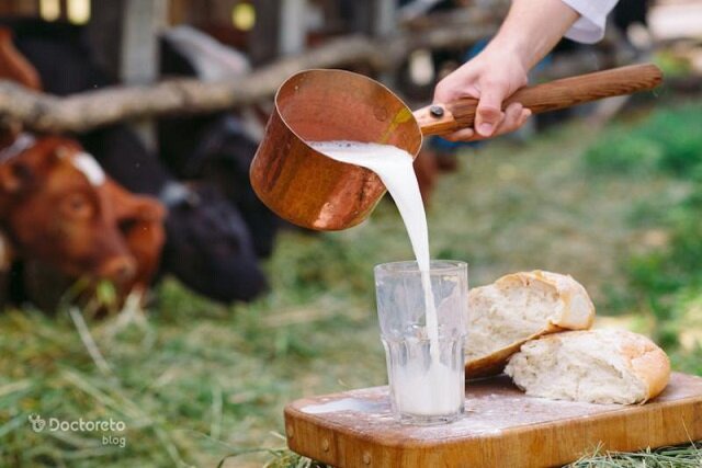 افزایش خطر تب مالت در فصل زایش دام‌ها؛ مراقب شیر فله باشید