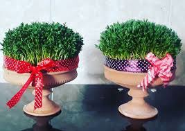 امسال خودت سبزه عیدت رو بذار