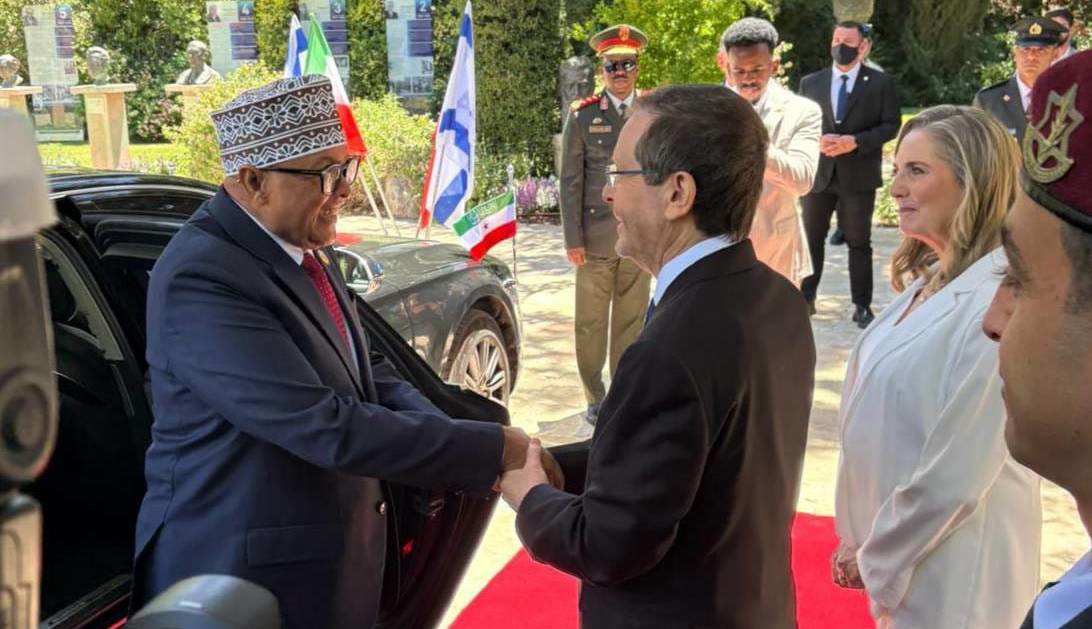 دیدار رئیس منطقه خودخوانده «سومالی‌لند» با هرتزوگ