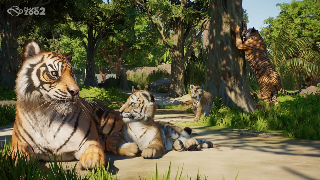 تریلر جدیدی از Planet Zoo ۲ منتشر شد؛ نگاهی تازه به حیات‌وحش در جنگل‌های سوماترا