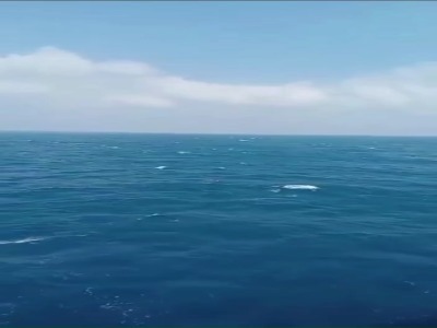 مفقود شدن ۱۲۰ نفر طی حادثه غرق شدن کشتی در دریای جاوه
