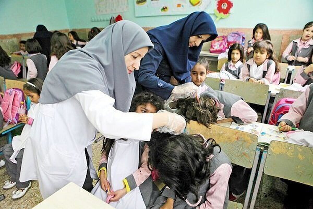 آمار ابتلا به شپش در مدارس