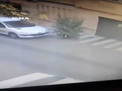 دستگیری زوج سارق کامپیوترهای ۲۰۶